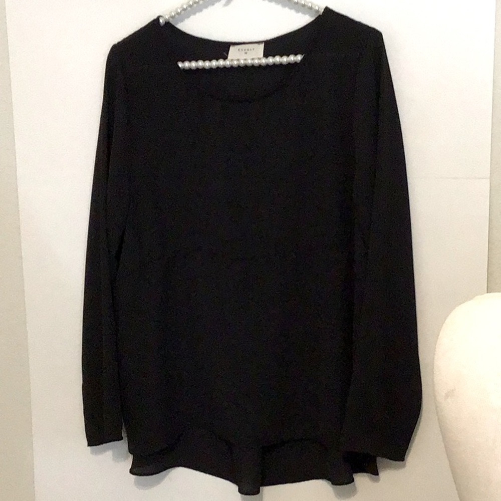 🦋 Everly Long Sleeve Black Sheer Blouse